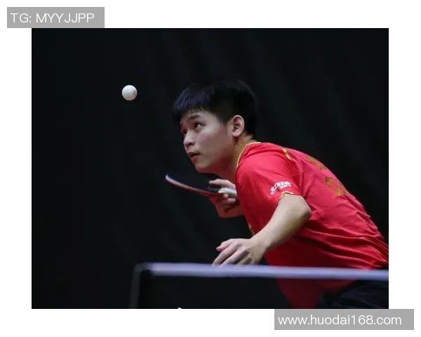 专访乒乓球名将陈磊深度剖析成功背后的秘诀与心路历程