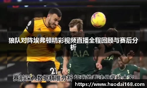 狼队对阵埃弗顿精彩视频直播全程回顾与赛后分析